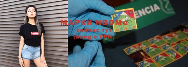прущие грибы Верхний Тагил