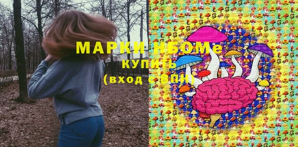 прущие грибы Верхний Тагил