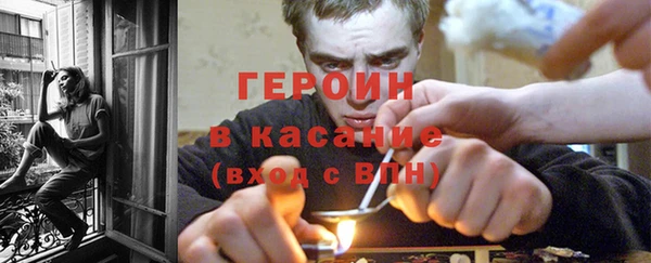 прущие грибы Верхний Тагил