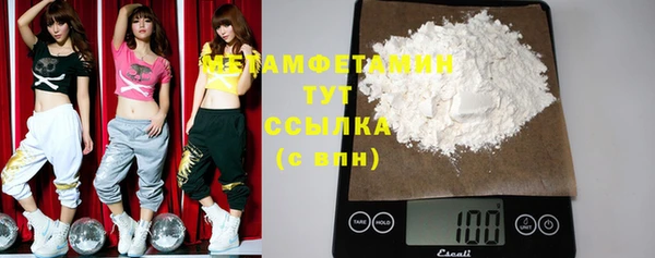 прущие грибы Верхний Тагил