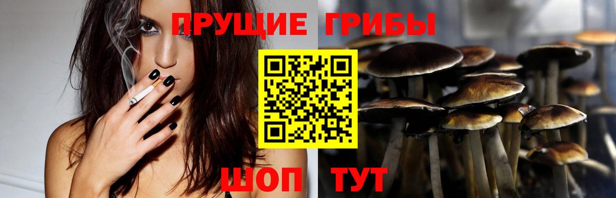 Галлюциногенные грибы Cubensis  Вход с VPN  купить наркотики цена  Дзержинский 