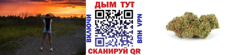 Бошки марихуана Amnesia Дзержинский